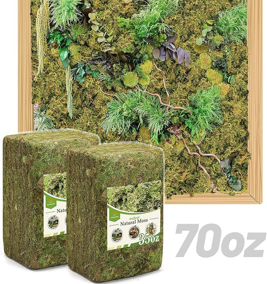 70oz Jumbo Pack Natural Green Moss for Crafts - Bulk Moss for Plants Indoor, Artificial Fairy Gardens, Mosswall, Filling Fake Plants, Floral Design, Home Decoration, Professional DIY Use