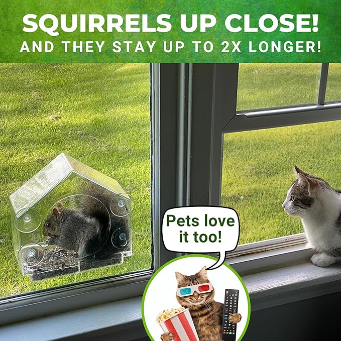 Window Squirrel Feeder - Funny Chipmunk Feeder - Easy to Install, No Assembly Needed - Includes Evergrip 4X Suction Cups - Squirrel Feeders for Outside - Squirrel House
