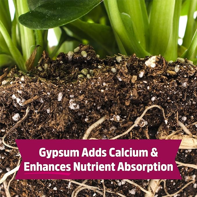 Back to the Roots 100% Organic Blood Meal | Made in the USA | Premium Nutrition for Indoor and Outdoor Plant Gardening