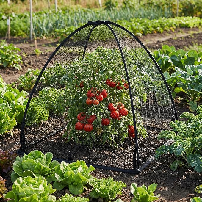 DECOHS 2 Pcs Pop-Up Mesh Plant Cover Tent, 30 x 28 x 28 Inch Garden Net Cage Guard Cover, Plant Protector Enclosure with 12 Ground Stakes for Protecting Plants Vegetable Fruit from Birds Insects