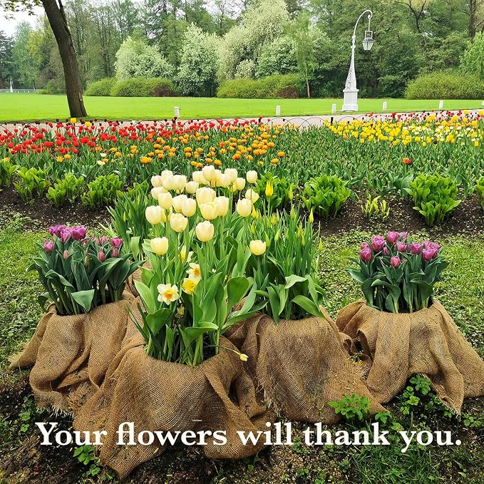 Burloptuous 40" x75 Feet Gardening Burlap Fabric Roll - Burlap Tree Wrap, Weed Barrier, Erosion Control, Aisle Runner, Multipurpose Natural Jute Fabric, High Density Material