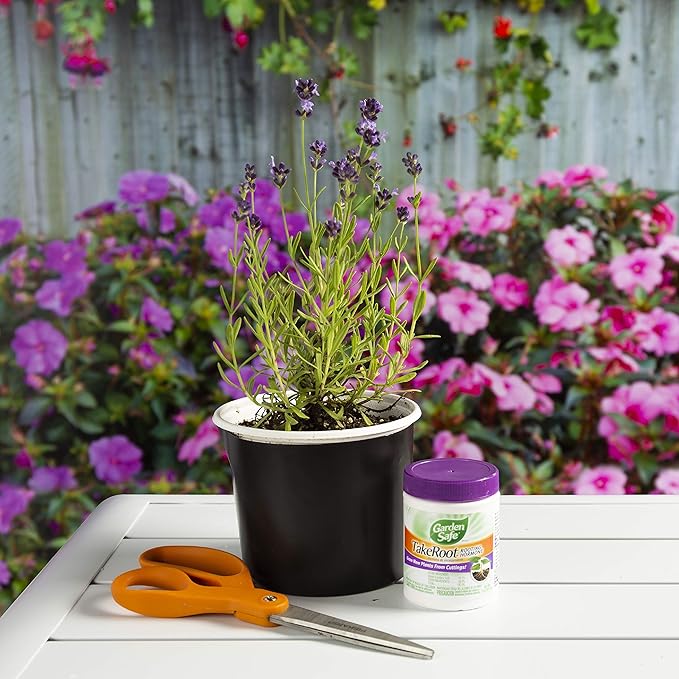 Garden Safe Take Root Rooting Hormone, Promotes Rooting, Grow New Plants From Cuttings, 2 Ounce