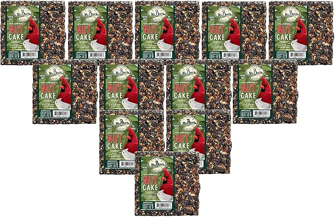 JCs Wildlife 12 Pack Mr. Bird Nut Cake, 8 oz