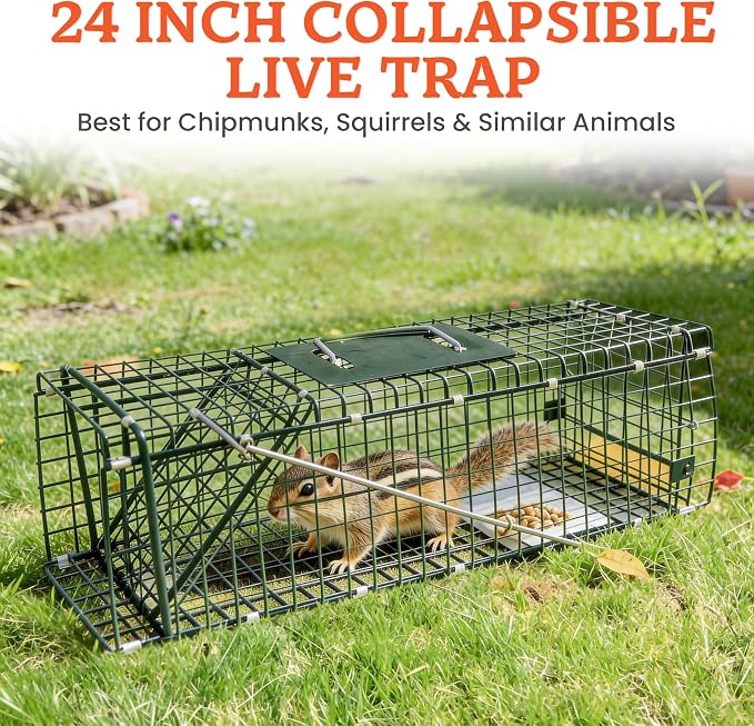 HOMESTEAD 24 Inch Heavy Duty Collapsible Live Animal Trap - Trap for Squirrels, Chipmunks, Rabbits, Kittens, Foldable Steel Trap (24 Inch)