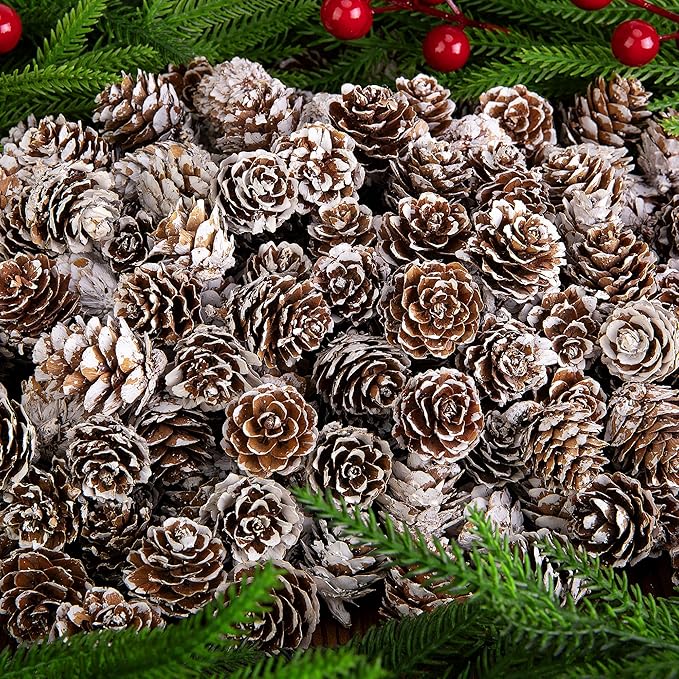 Deloky 150 Pcs Christmas Natural Mini Pine Cones- 1" Small Christmas Snow Pinecones Ornaments- Thanksgiving Mini Snow Pinecones for DIY Crafts Vase Fillers Fall Winter Home Christmas Tree Decor
