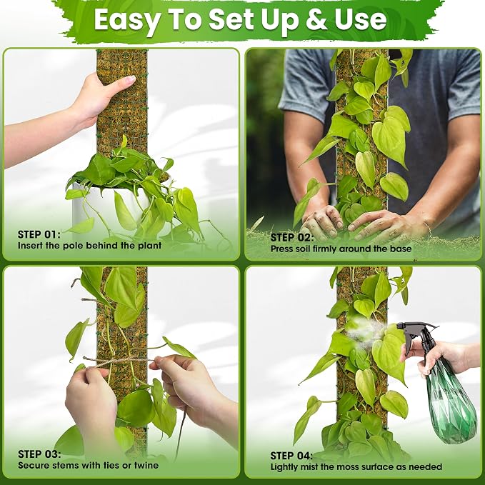 DUSPRO 59’’ D-Shape Moss Pole for Climbing Plants Monstera Moss Plant Pole Handmade Moss Stick for Indoor Plants Grow Upward (59'', 1pc.)