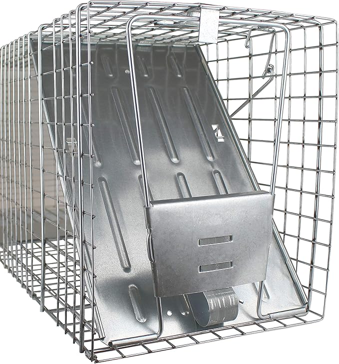 HAVAHART 1079SR Large 1-Door Humane Catch and Release Live Animal Trap Cage - Live Raccoon Trap, for Bobcats, Beavers, Dogs, & More