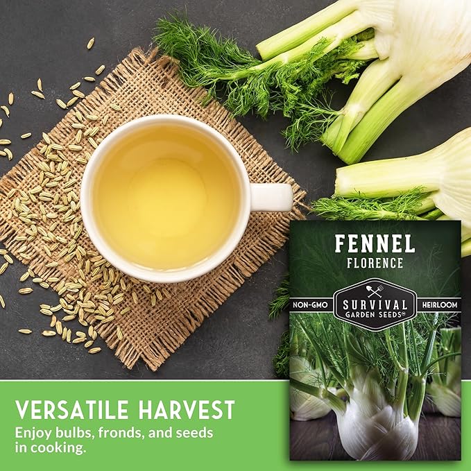 Fennel Seed for Planting - 5 Packets with Instructions to Grow Cool-Weather Florence Fennel (Finnochio) in Your Home Vegetable Garden - Non-GMO Heirloom Variety - Survival Garden Seeds