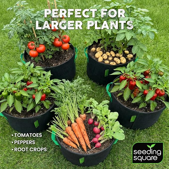 Seeding Square Fabric Grow Bags (7 Gallon) – Durable, Reusable Air-Pruning Plant Pots for Vegetables, Fruits & Herbs – Eco-Friendly Breathable Planter Bags for Healthy Roots & Bigger Harvests