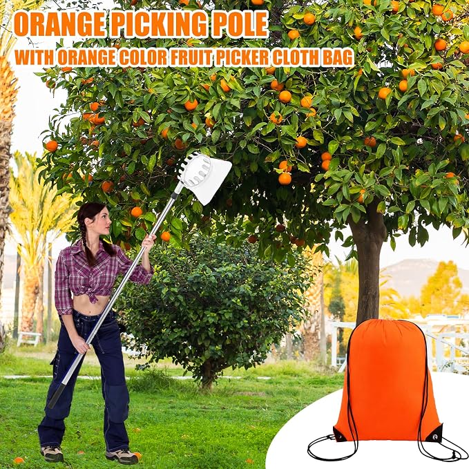 4 Pack Fruit Picker Pole Tools 11.5 ft Fruit Picker Pole with Basket Telescoping and 35-63 Inch Adjustable Apple Picking Tool Berry Rake Scoop and Storage Bag for Mango Lemon Orange Avocado