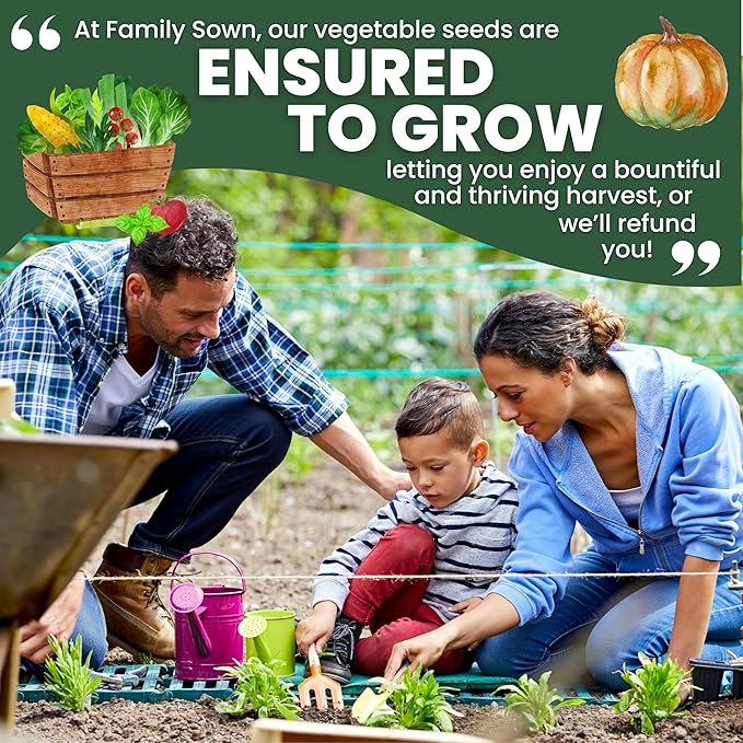 35 Vegetable Seed Packets | Survival Variety Pack | 2026 Season | Individually Packed Vegetables, Herbs and Fruits | Emergency Seed Vault for Doomsday Prepping | by Family Sown