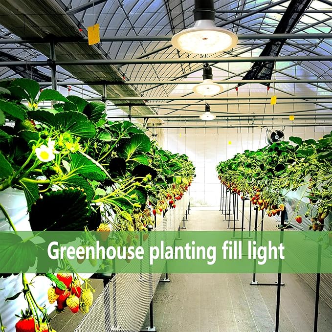 Outdoor LED Grow Lights, Waterproof String Grow Light, Full Spectrum Plant Growing Lights with 12Ft Adjustable Cord 3 Lights