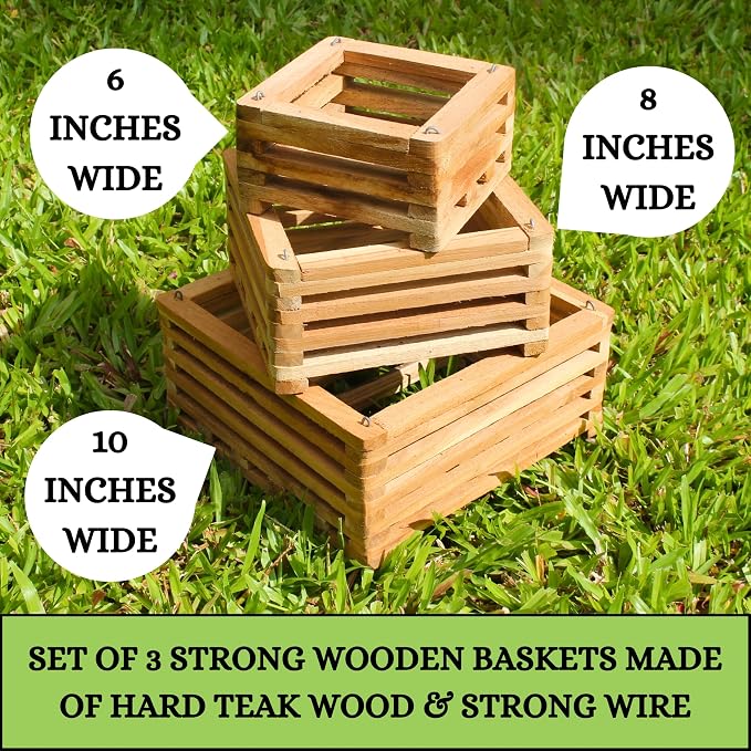 Set of 3 Strong Teak Wood Orchid Baskets for Outdoors with Hangers, 1 is 10 Inches Wide, 1 is 8 Inches, 1 is 6 Inches, for Orchids, Staghorn Ferns, Orchid Gifts