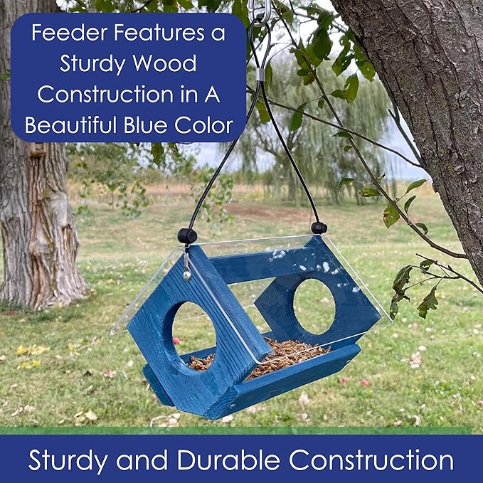 Petite Bluebird Feeder with Plexiglass Roof and Powder Coated Steel Mesh Basket Bird Feeder Tray