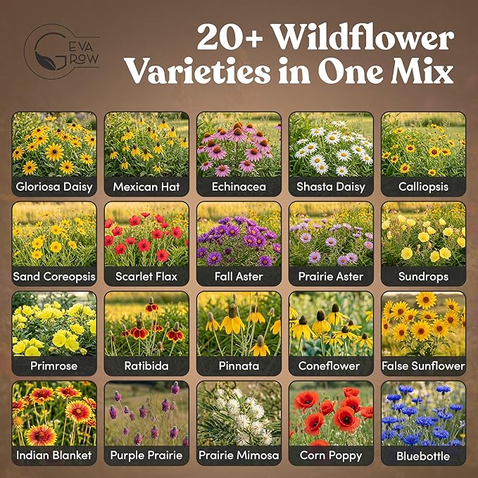Midwest Wildflower Seeds Regional Mix - Organic, Non-GMO - 100% Pure Seed - 21 Different Wildflowers Seeds of Annual and Perennial, 1 LB Tub