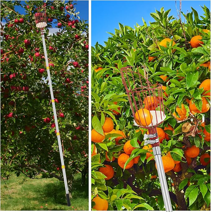 SANLIKE Fruit Picker Pole with Basket 18FT Adjustable Higher Lightweight Fruit Grabber Tool with Extension Pole for Apple Avocado Lemon Peach Pear Mango and Other Fruit Tree Harvester