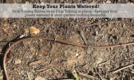 Sandbaggy DRIP TUBING Stakes Landscape Staples | 5 inch Length | Drip Anchors | Landscape Pins | Lawn Nails | Garden Stakes | Hold Drip Tubing Up to 1/4" Diameter | 14-Gauge Standard | Pack of 500