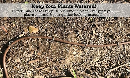 Sandbaggy DRIP TUBING Stakes Landscape Staples | 5 inch Length | Drip Anchors | Landscape Pins | Lawn Nails | Garden Stakes | Hold Drip Tubing Up to 1/4" Diameter | 14-Gauge Standard | Pack of 1000