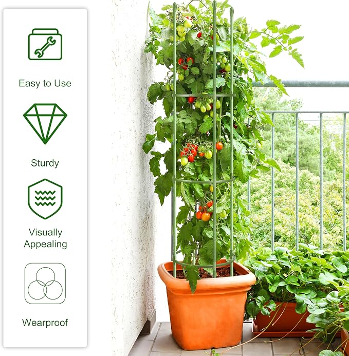 Hahood 6 Pack Tomato Cages for Garden Plant Support 64 Inches Tall Garden Trellis Plant Stakes for Indoor Outdoor Plants Climbing Plants Vegetable Fruit Crop Flower Vine, Green