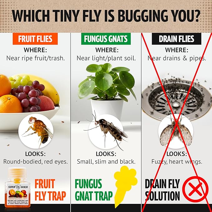 Super Ninja Fruit Fly Traps for Indoors - 4 Pack, Highly Effective Fruit Fly Catcher for Indoor Use for Home & Kitchen, Up to 3 Weeks of Performance per Bottle, Kid & Pet Friendly
