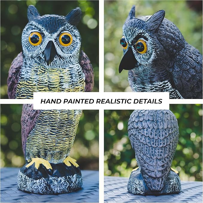 Owl Decoy to Scare Birds Away | Plastic Owls to Scare Birds Away | Owl Statue for Garden & Outdoors By Galashield [Set of 2]
