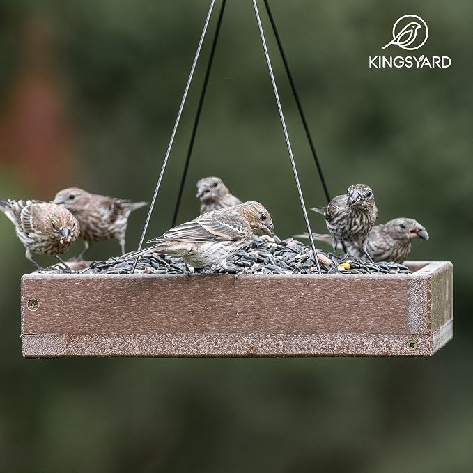 Kingsyard Platform Bird Feeder for Outdoors, Hanging Feeding Tray | Recycled Poly Lumber, Weatherproof, 11x11 Tray, Holds up to 3 lbs Seeds or Mealworms, Easy Clean & Refill, Brown
