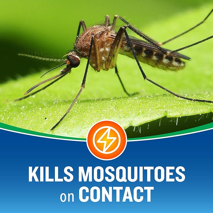 Cutter Backyard Bug Control Outdoor Fogger (12 Pack) & Spray Concentrate (2 Pack) Mosquito, Flea & Ant Killer