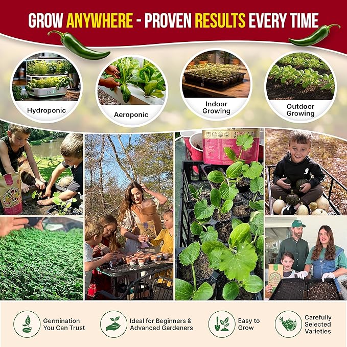 Organo Republic 14 Herbs & Veggies Salsa Mix Seeds Variety Pack - 5,180+ Non GMO Heirloom Herb, Tomato & Chili Pepper Seeds for Planting Outdoor & Indoor Home Gardening: Basil, Cilantro Onion, Peppers