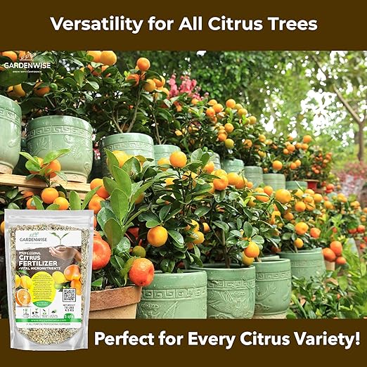 GARDENWISE Professional Citrus Fertilizer + Vital Micronutrients; Perfect Balanced NPK for All Citrus; for Indoor and Outdoor Plants; Orange, Lime, Avocado and Lemon Tree Fertilizer (1 Quart)