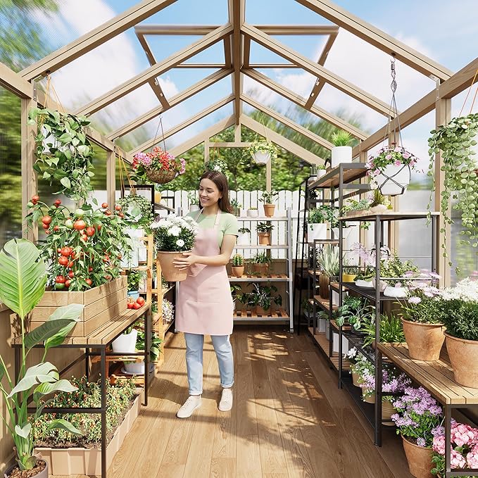 6x10 FT Greenhouse - Large Wooden Greenhouses for Outdoors, Heavy Duty Spruce Frame Greenhouse with PC Panels, Adjustable Roof Vents & Lockable Door, Walk-in Green Houses for Garden, Backyard, Patio