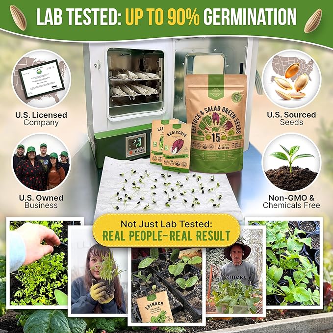 Organo Republic 15 Lettuce & Salad Greens Seeds Variety Pack 17700+ Non-GMO Heirloom Lettuce Seeds for Indoors & Outdoors Garden, Hydroponics, Aerogarden - Arugula, Kale, Spinach, Swiss Chard, Lettuce
