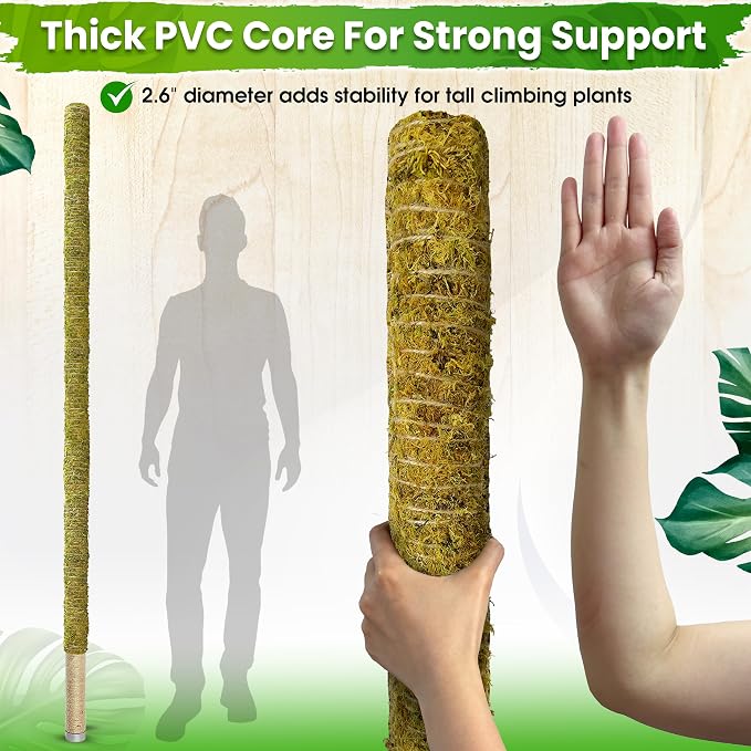 DUSPRO 80 Inches Large Moss Pole for Plants Monstera, Plant Stakes for Indoor Plants, Monstera Plant Support, Plant Support/Plant Pole for Big Climbing Plants Indoor (1pc., 80'')