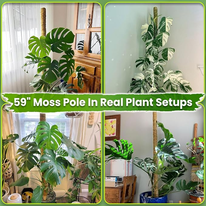 DUSPRO 59 Inches Non-Bendable Pole for Big Climbing Plants, Large Moss Pole for Monstera, Indoor Plant Stakes, Support (1pc., 59'')