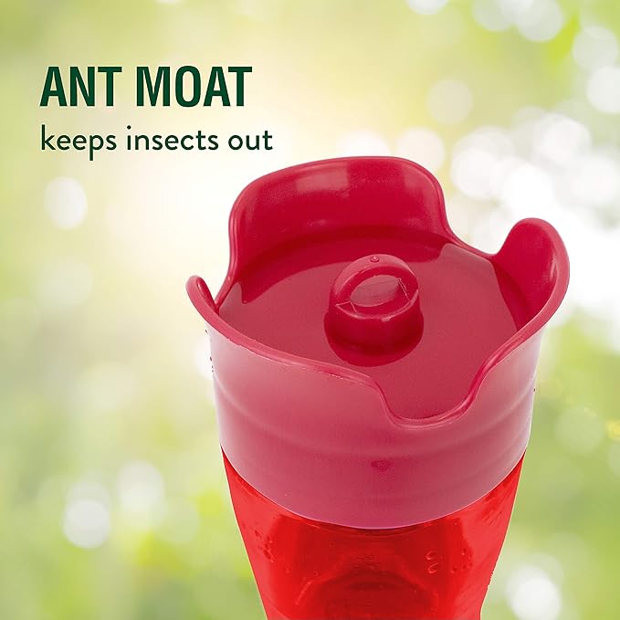 Perky-Pet Red Hummingbird Feeder - Pinch Waist Design for Easy Feeding - Humming Bird Feeder for Outdoors - 403CO - 8 oz Capacity (Pack of 6)