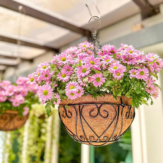 LaLaGreen 16" (6 Pack, Round) Coco Liners for Hanging Basket – Medium Coir Replacement for Garden Pot, Outside Planter Holder, Farmhouse Decor – Multi Sizes 8/10/12/14/18/20 Inch & Different Shapes