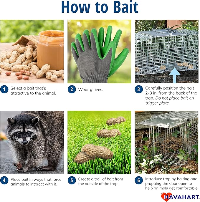 Havahart Easy-Set Catch and Release Small 1-Door Humane Live Animal Trap for Squirrels, Rabbits, Skunks, and Other Small Animals - 1083