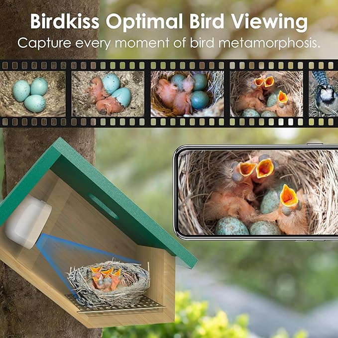 Birdkiss Smart Bird Houses for Outside Solar Powered, 1080P HD Live View Birdhouse with Camera, Perfect Viewing Bird Nesting and Hatching, Ideal Outdoors Bird House for Blue Bird and Cardinal (Green)