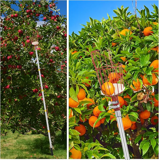 SANLIKE Fruit Picker Pole with Basket 12FT Adjustable Higher Lightweight Fruit Grabber Tool with Extension Pole for Apple Avocado Lemon Peach Pear Mango and Other Fruit Tree Harvester