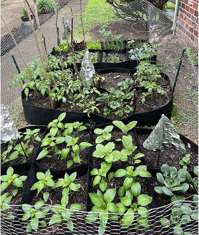 CJGQ Fabric Raised Garden Bed, 2Pack 8 Grids Plant Grow Bags, 3x6FT Breathable Planter Raised Beds for Growing Vegetables Potatoes Flowers, Rectangle Planting Container for Outdoor Gardening