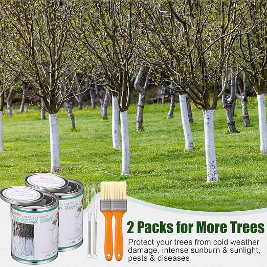 Kathfly 2 Pack Tree Paint Kit Tree Whitewash Trees Trunk Protection with Tinplate Container Whisk Brush for Fruit Nut Ornamental Trees Sapling Garden Yard Orchard (7" Whisk,Regular Classic Brush)