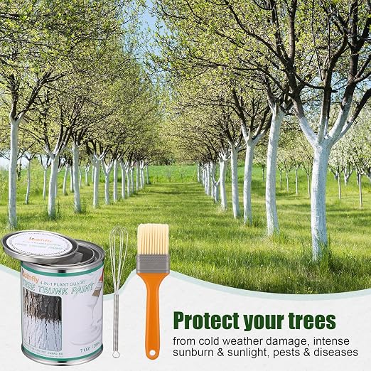 Kathfly 1 Pack Tree Paint Kit Tree Whitewash Trees Trunk Protection with Tinplate Container Whisk Brush for Fruit Nut Ornamental Trees Sapling Garden Yard Orchard (7" Whisk,Large Classic Brush)