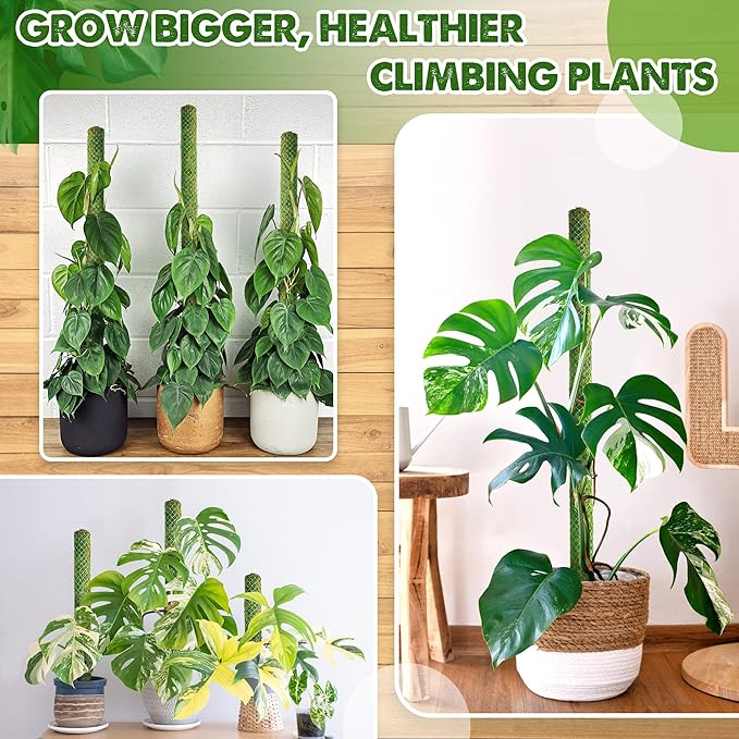 DUSPRO Green Mesh Moss Pole for Plants Climbing Vine Supporting Monstera Trellis, for Indoor Plants Plant Pole Moss Sticks, for Plants Monstera Potted Plant Stakes, 1 Pc 22''