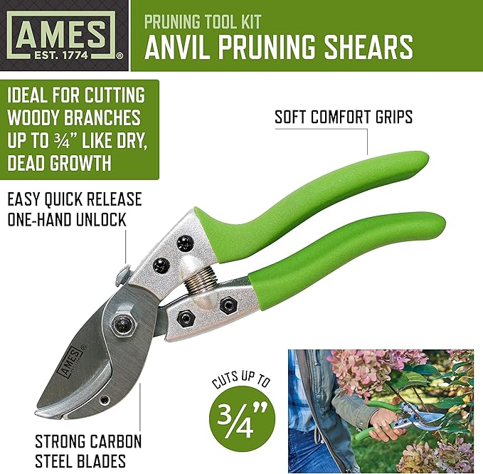 AMES 20213344 4-pc. Pruning Tools Kit with Bypass & Anvil Pruners, Garden Snips, Grass Shears & Canvas Case