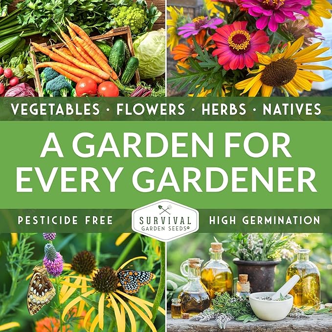 Survival Garden Seeds Tussock Bellflower Seed for Planting - 3 Packets with Instructions to Plant and Grow Campanula carpatica in Your Home Flower Garden - Non-GMO Heirloom