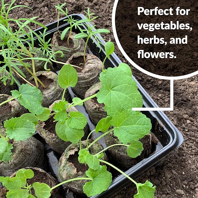 100 Count- Jiffy 36 MM Peat Soil Pellets Seeds Starting Plugs: Indoor Seed Starter- Start Planting Indoors for Transplanting to Garden or Planter Pot