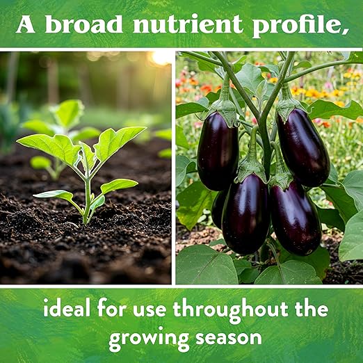 Down To Earth All Natural Fertilizers Organic Vegetable Garden - Plant Food for Vegetables, Herbs, Greens and Raised Beds 4-4-4, 5 lb