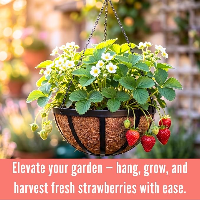 LaLaGreen Outdoor Hanging Baskets for Plants (10 Inch, 2 Pack) Small and Cute Hanging Planters with Coco Liner, Black Metal Flat Iron Flower Pots for Deck Patio Porch Garden Balcony Outside Decoration