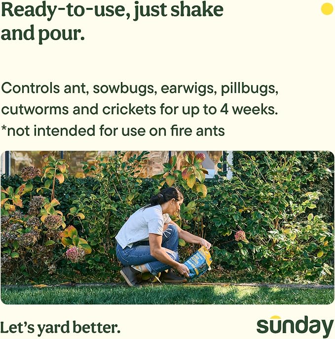 Sunday Ant Adios - Bug & Ant Killer - Outdoor Insect Control Uses Spinosad to Eliminate Ants, Earwigs, Cutworms, & More - Treats 4,000 sq ft - Results in 3-14 Days - 2 Pack, 2lbs