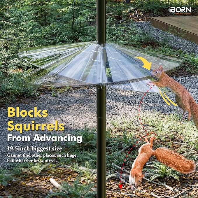 iBorn Squirrel Baffle for Bird Feeder Pole, 19.5” Oversized Squirrel Guard Defender, Bird Feeder for Outdoors Protector, Polycarbonate(PC), Pack of 1, Clear