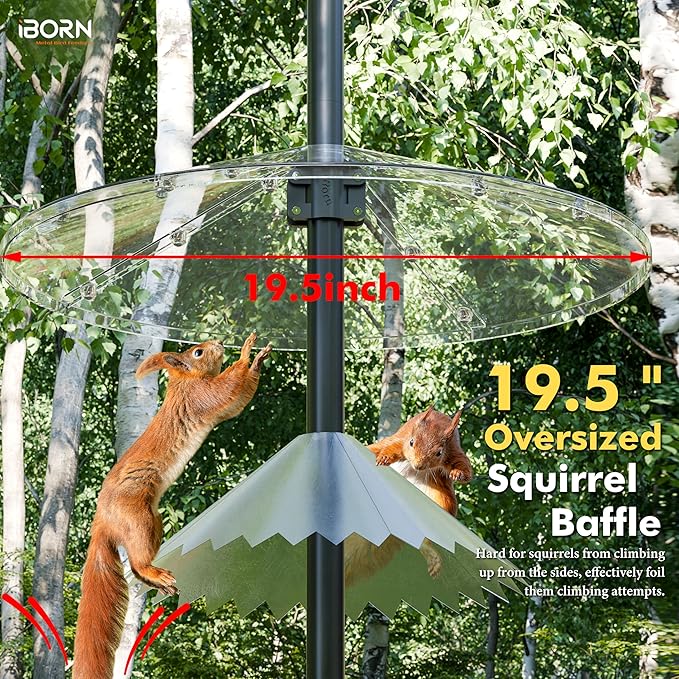 iBorn Squirrel Baffle for Bird Feeder Pole, 19.5” Oversized Squirrel Guard Defender, Bird Feeder for Outdoors Protector, Polycarbonate(PC), Pack of 1, Clear